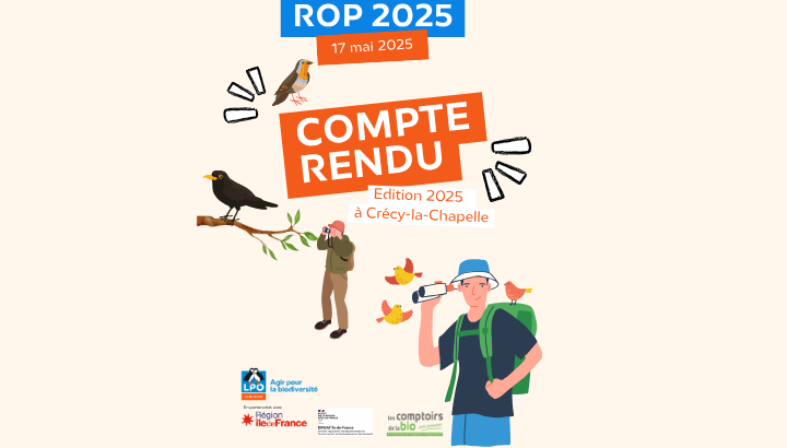 ROP 2025 : le bilan !